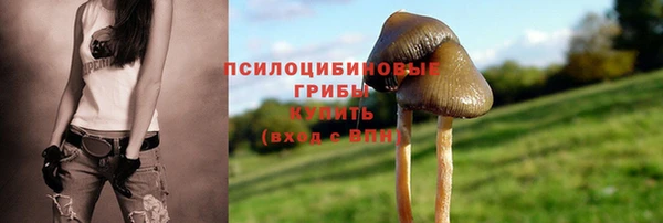 меф Козельск