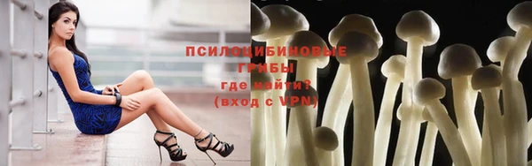 mdpv Козловка