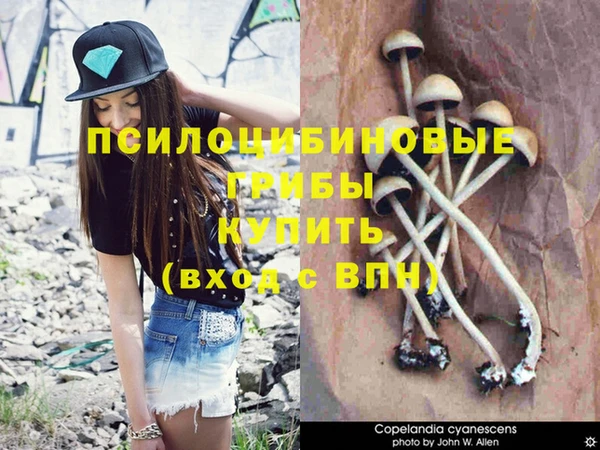 гашишное масло Кодинск