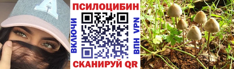 Купить  Алушта  Псилоцибиновые грибы MAGIC MUSHROOMS 