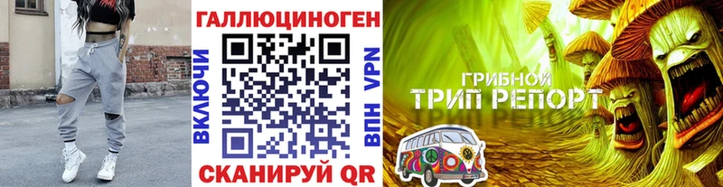 Псилоцибиновые грибы Cubensis Алушта